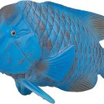 MOJO 387356 Blue Grouper  Large