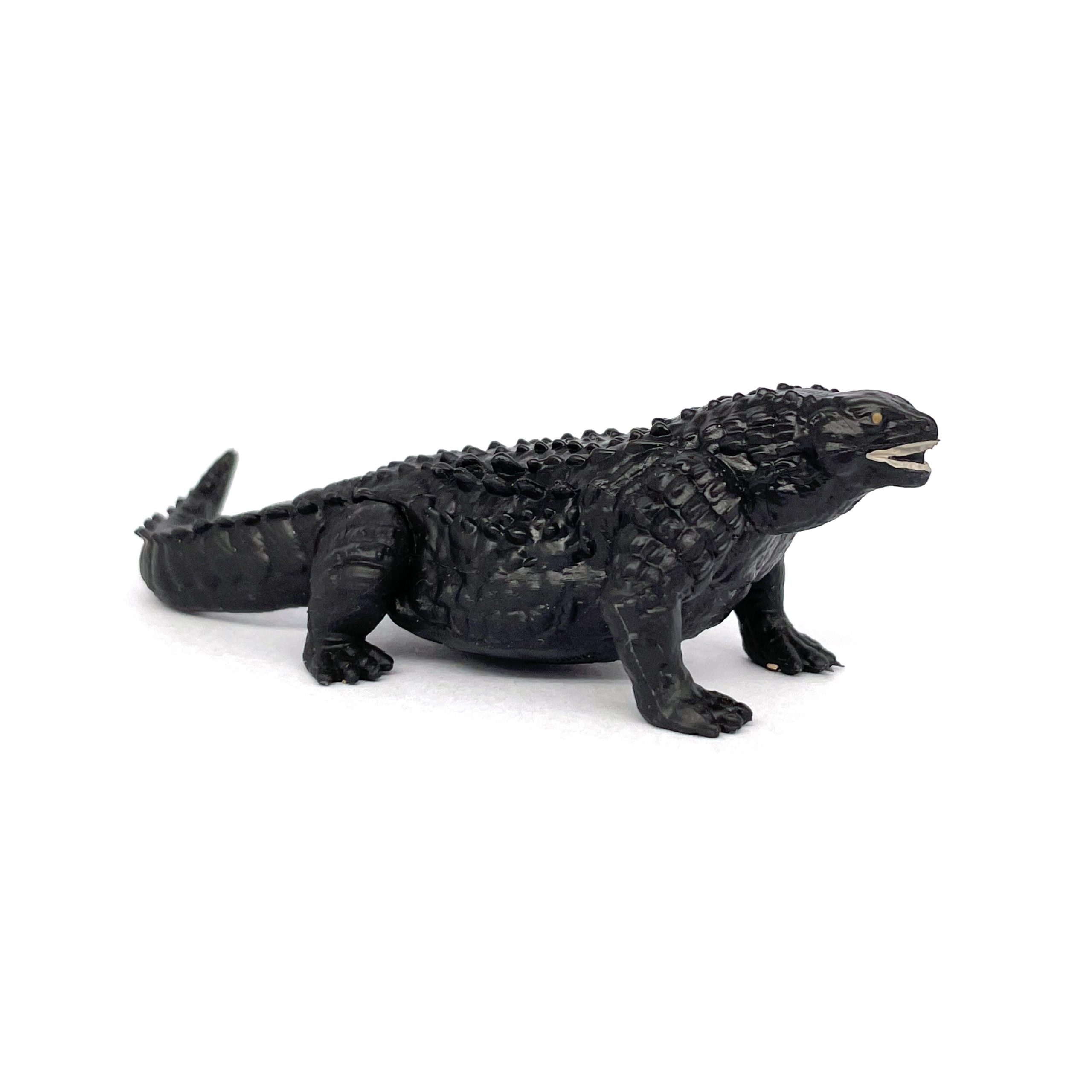 35770_1-scaled