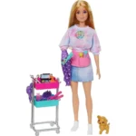 Barbie Malibu Stylist Doll