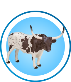 Farm Animals