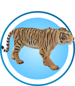 Wild Animals