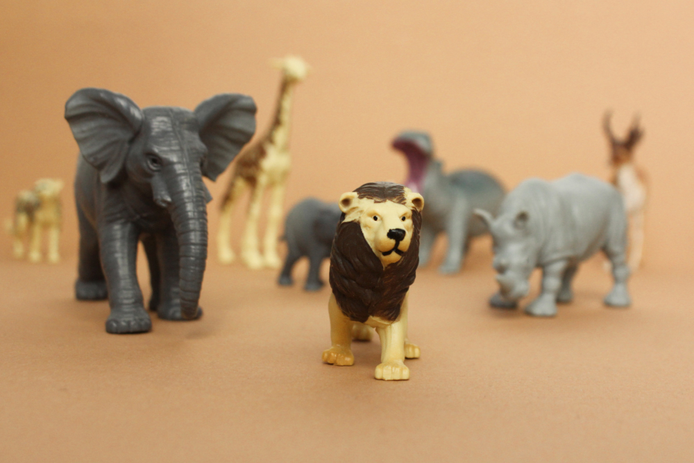 Play And Dream Toy | Play and Dream Toys UAE