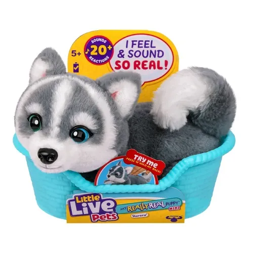 Imgi | Play and Dream Toys UAE