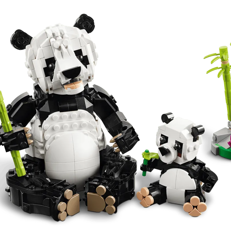 Imgi WEB SEC NOBG En Gb | Play and Dream Toys UAE