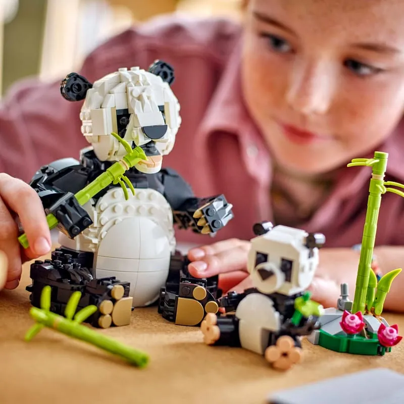 Imgi Lifestyle Cons En Gb | Play and Dream Toys UAE